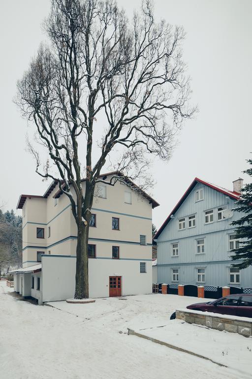 Pensjonat Limba Duszniki Zdrój 外观 照片